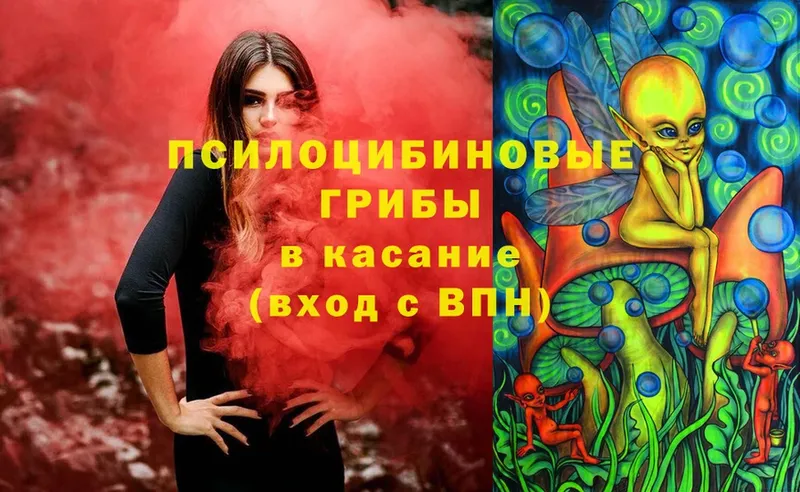 Псилоцибиновые грибы Magic Shrooms  сайты даркнета клад  Ворсма  цена   гидра как зайти 